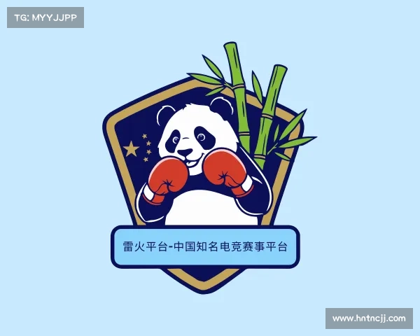 网址雷火平台-中国知名电竞赛事平台